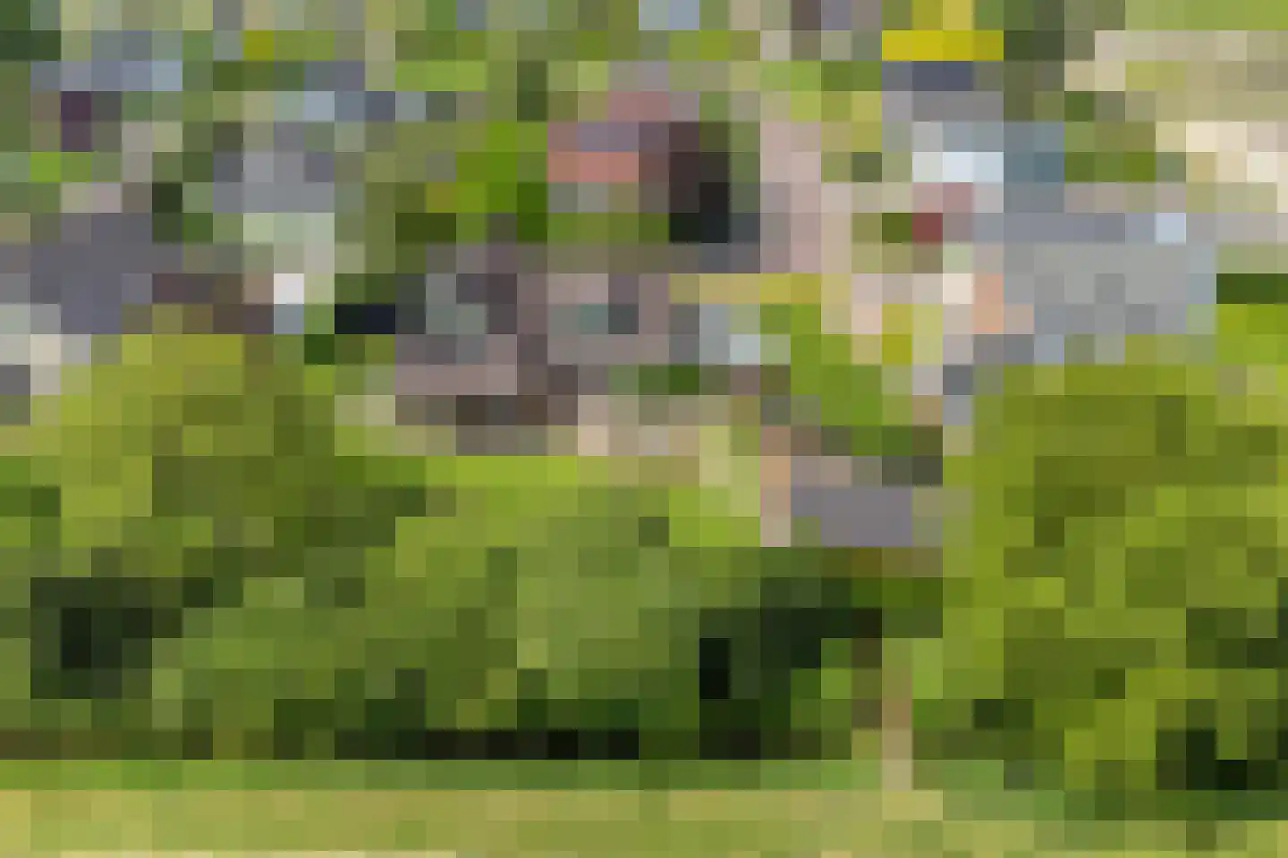 Rietmaat 7 Roden thumbnail 75
