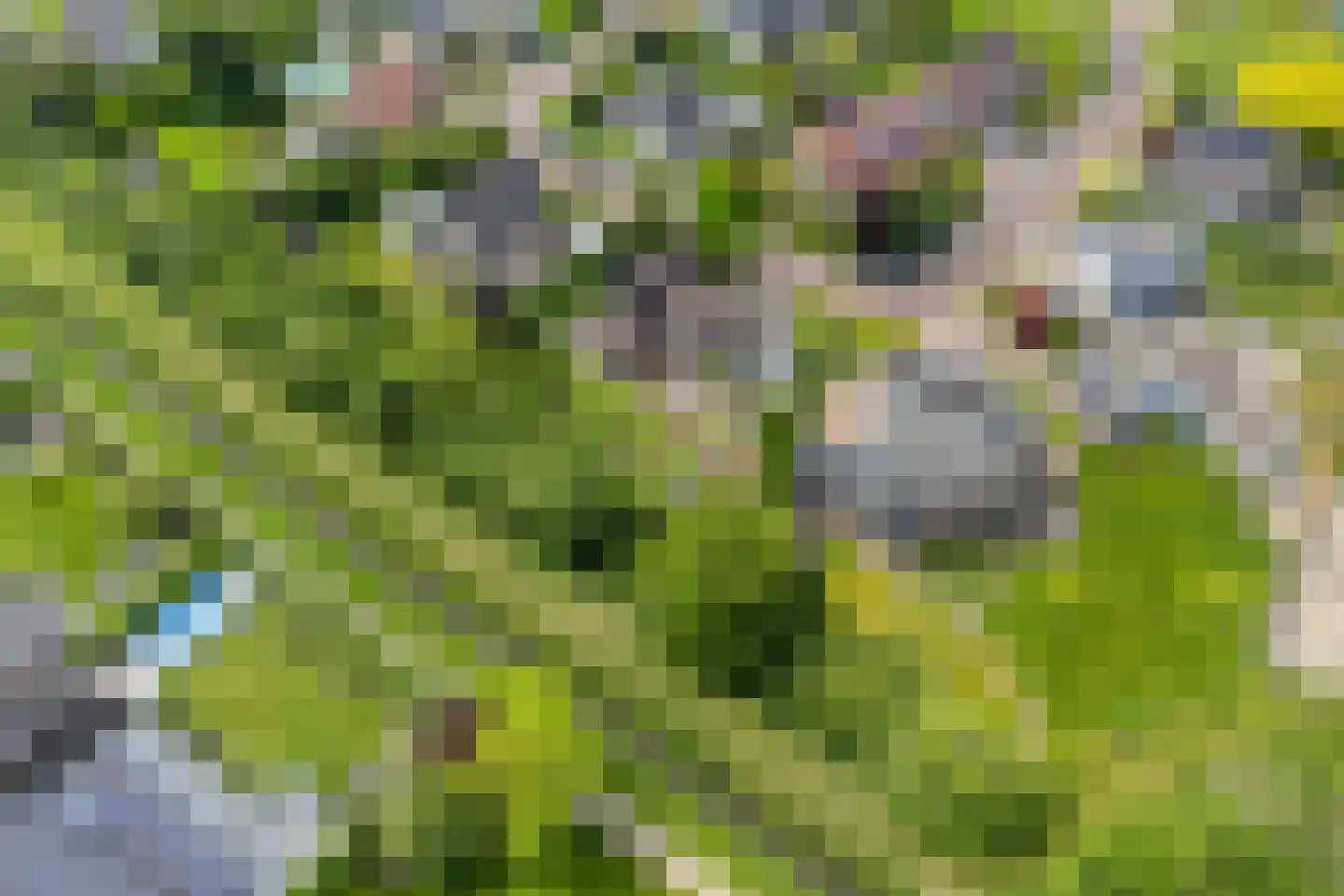 Rietmaat 7 Roden thumbnail 76