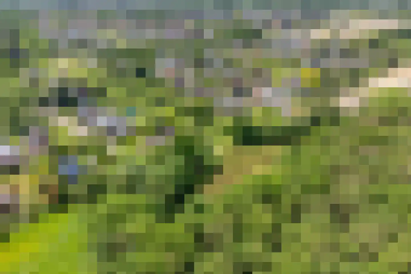 Rietmaat 7 Roden thumbnail 77