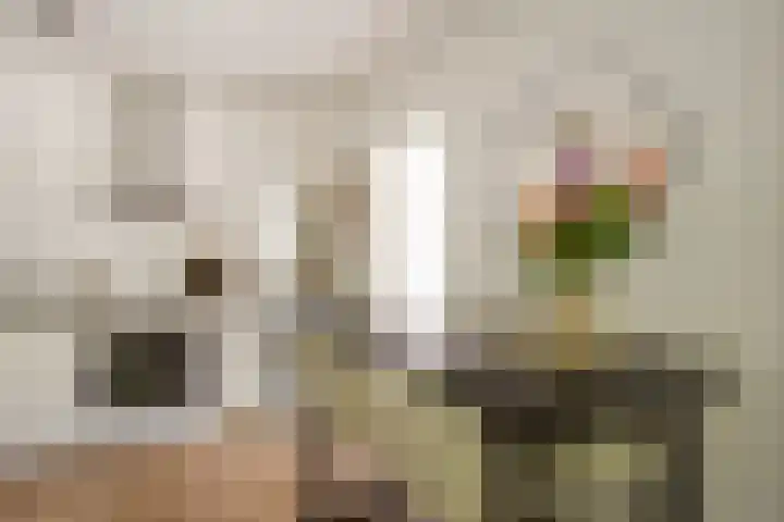 Rietmeent 186 Almere thumbnail 11