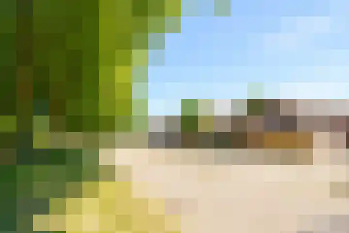 Rietmeent 186 Almere thumbnail 24