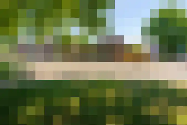 Rietmeent 186 Almere thumbnail 25