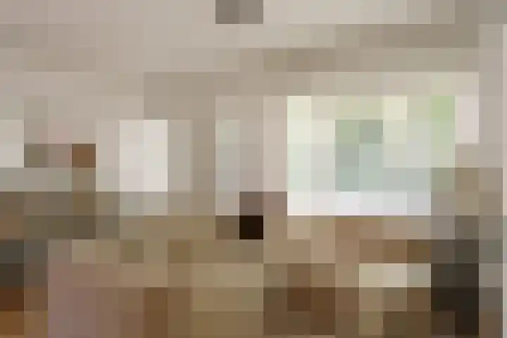 Rietmeent 186 Almere thumbnail 4