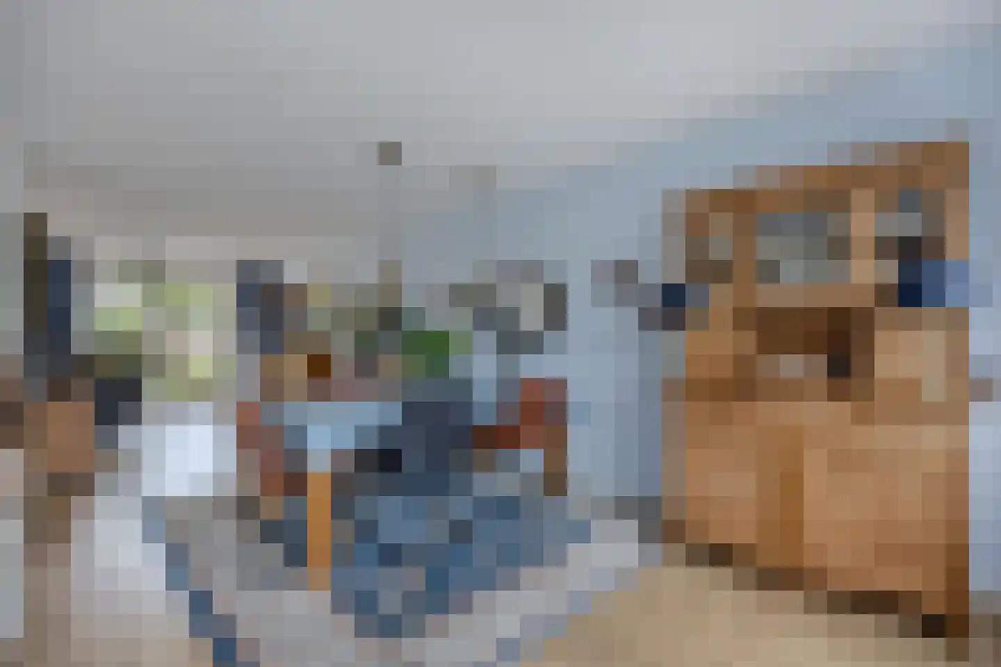 Rietmeent 276 Almere thumbnail 10