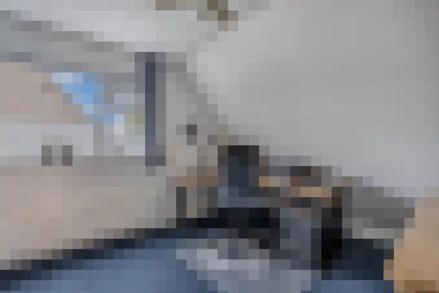 Rietmeent 276 Almere thumbnail 19