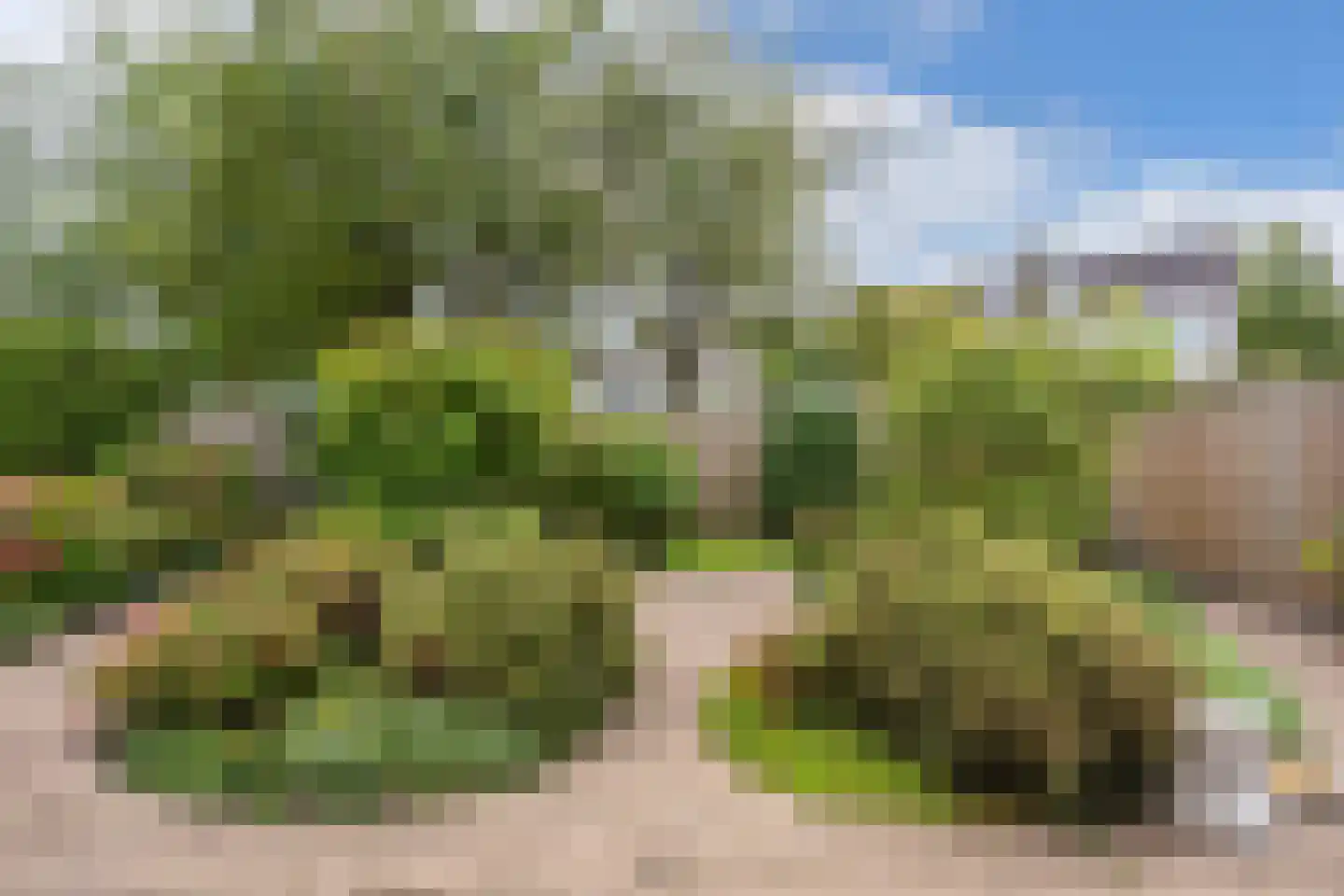 Rietmeent 276 Almere thumbnail 34
