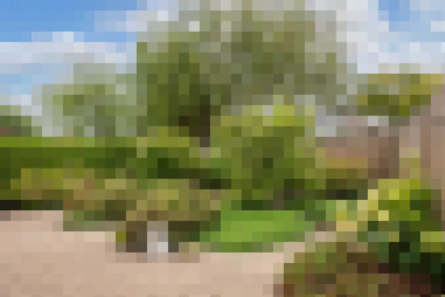 Rietmeent 276 Almere thumbnail 35