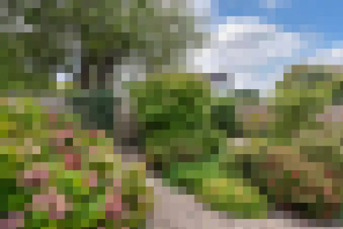 Rietmeent 276 Almere thumbnail 37
