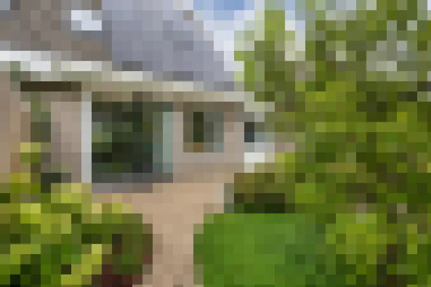 Rietmeent 276 Almere thumbnail 39