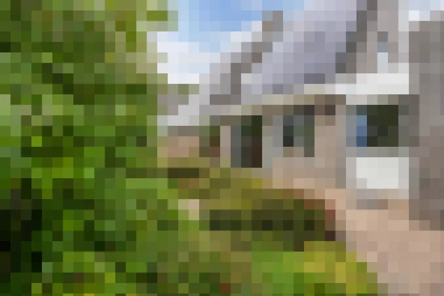 Rietmeent 276 Almere thumbnail 40