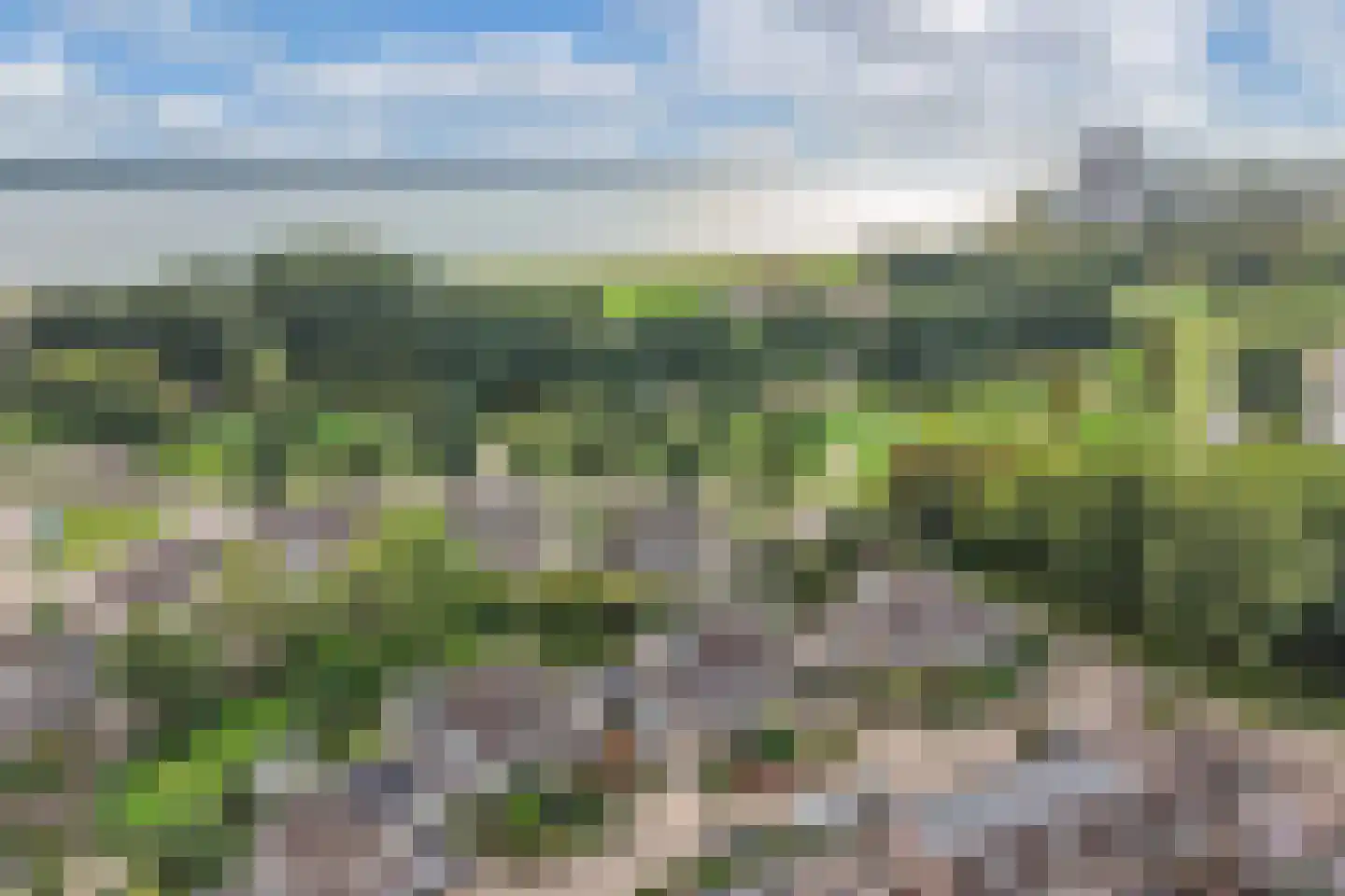 Rietmeent 276 Almere thumbnail 44