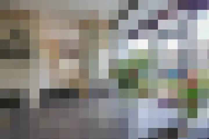 Rietmeent 277 Almere thumbnail 10