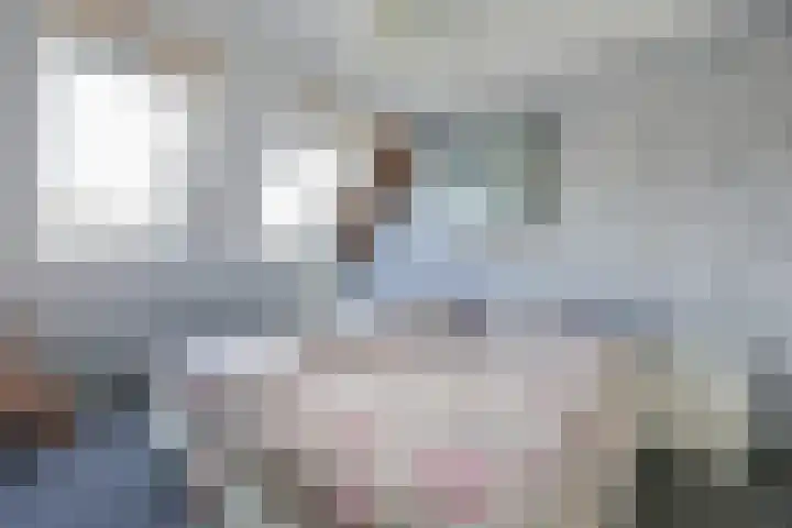 Rietmeent 277 Almere thumbnail 21
