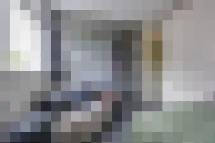 Rietmeent 277 Almere thumbnail 24