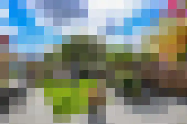 Rietmeent 277 Almere thumbnail 35