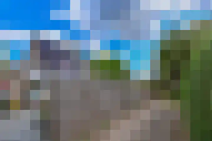 Rietmeent 277 Almere thumbnail 37