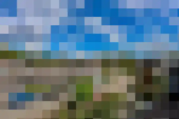 Rietmeent 277 Almere thumbnail 39