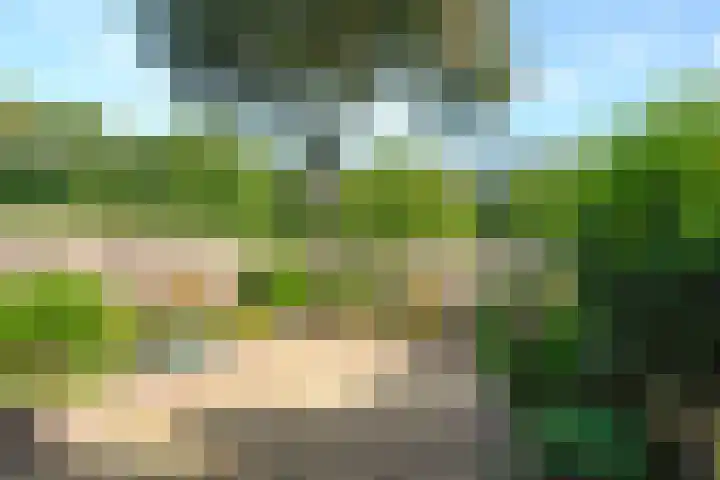 Rietmeent 38 Hilversum thumbnail 4