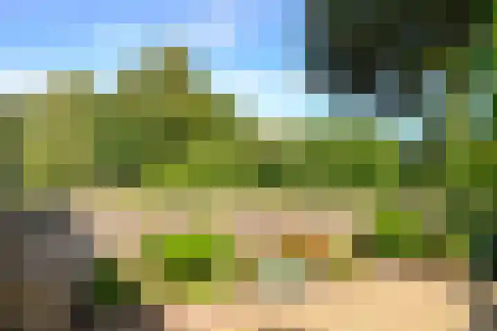 Rietmeent 38 Hilversum thumbnail 5