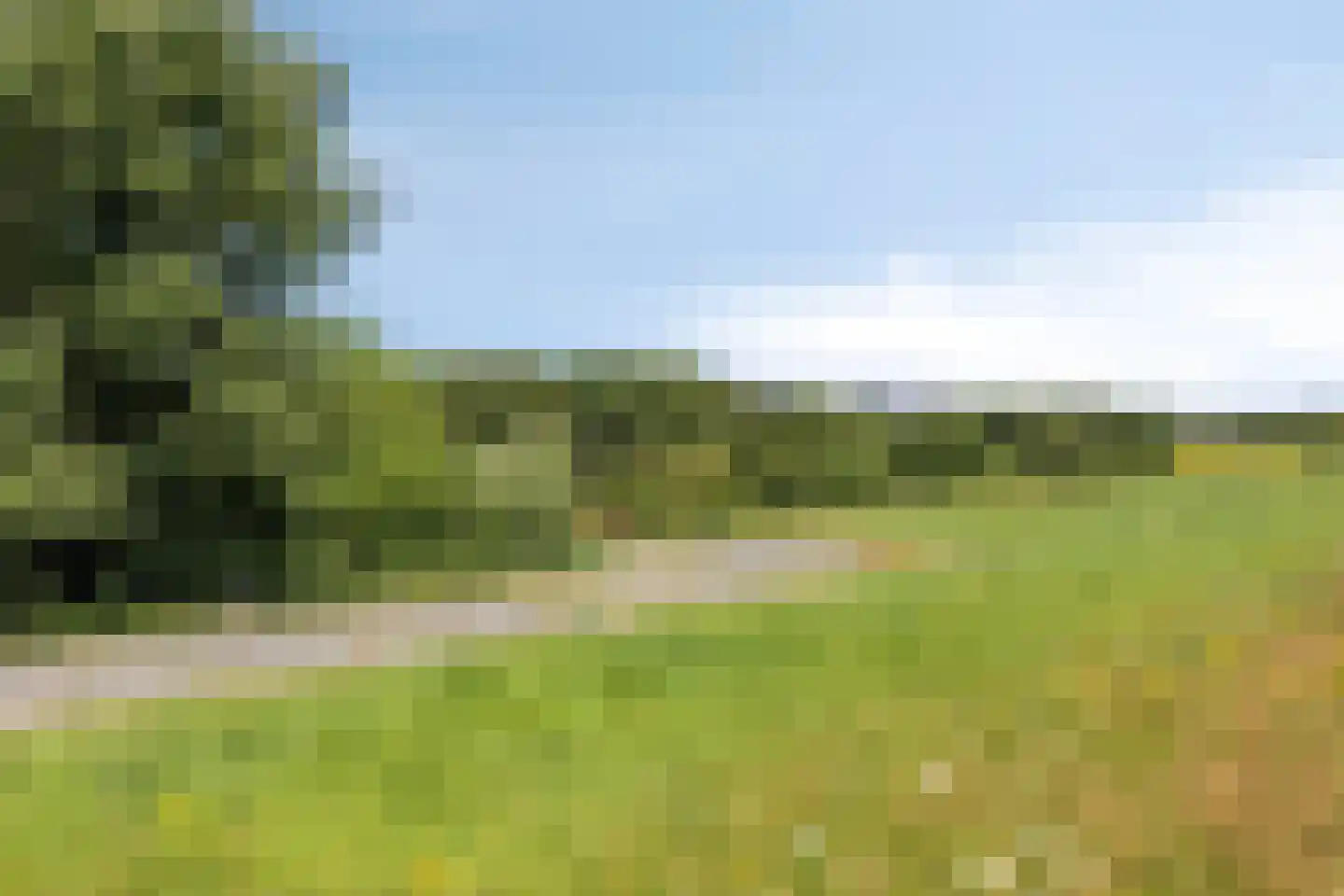 Rietmeent 44 Almere thumbnail 44