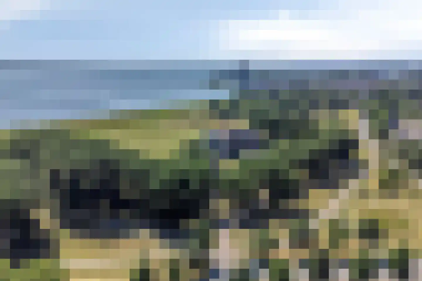 Rietmeent 44 Almere thumbnail 49