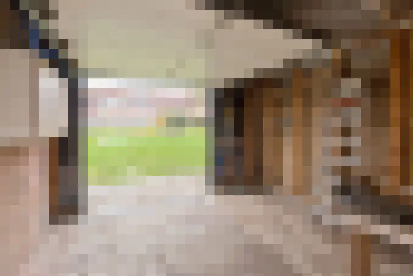Rietmeent 60 Almere thumbnail 48
