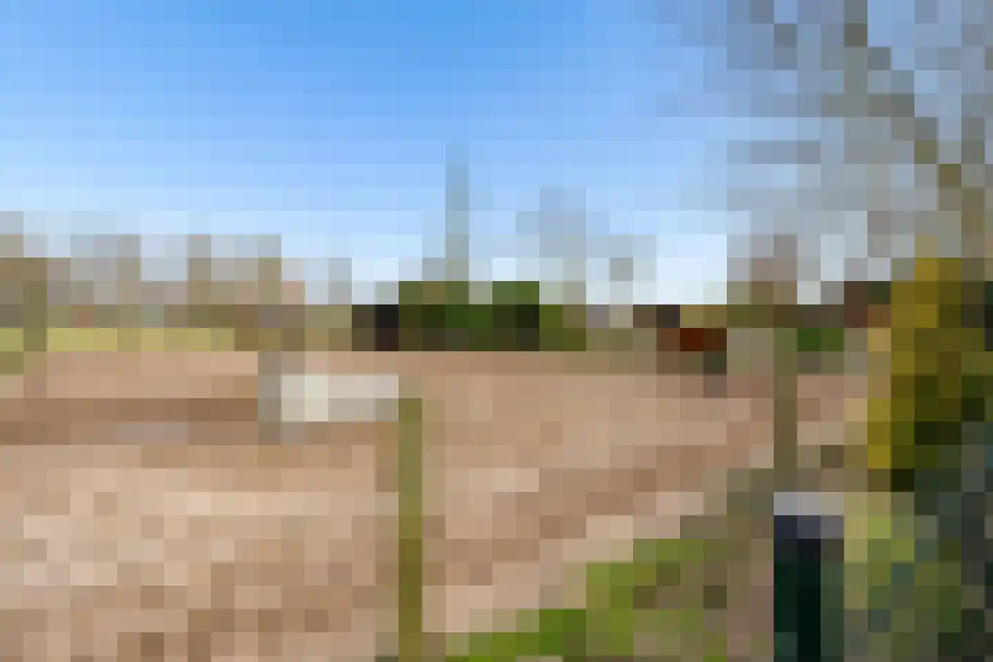 Rietmeent 60 Almere thumbnail 63