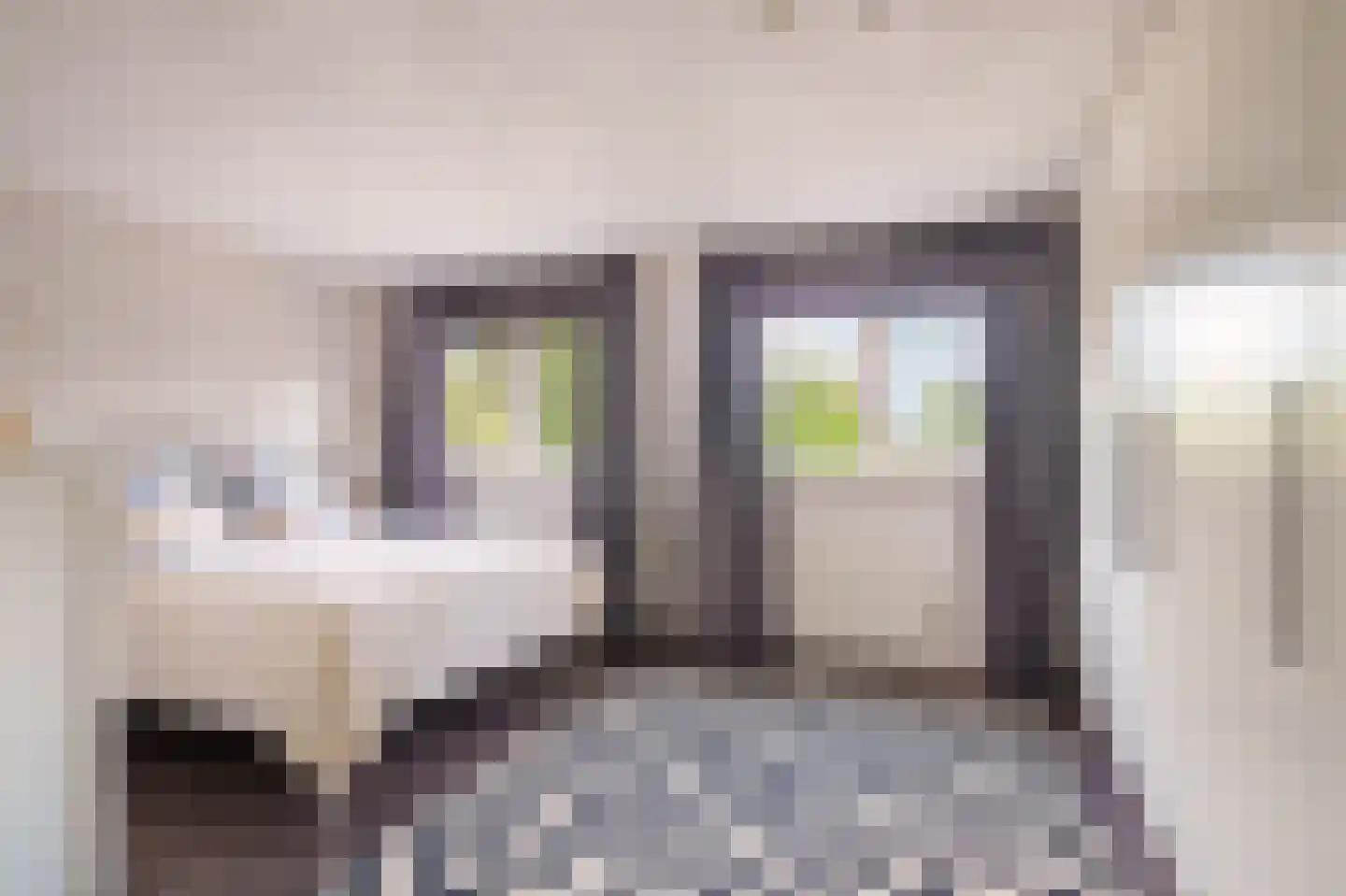 Rietmeent 71 Almere thumbnail 16