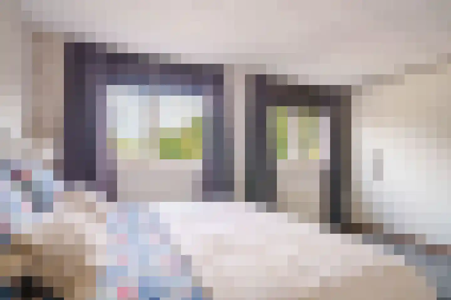 Rietmeent 71 Almere thumbnail 17