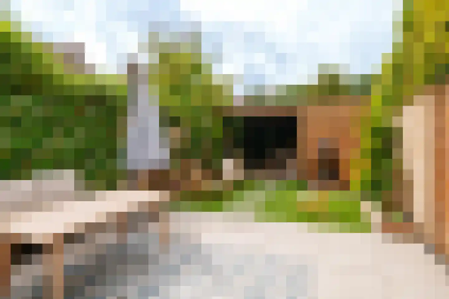 Rietmeent 71 Almere thumbnail 32
