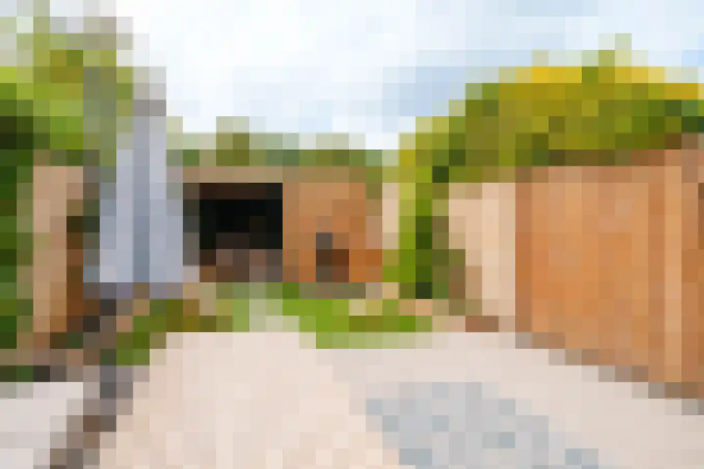 Rietmeent 71 Almere thumbnail 33