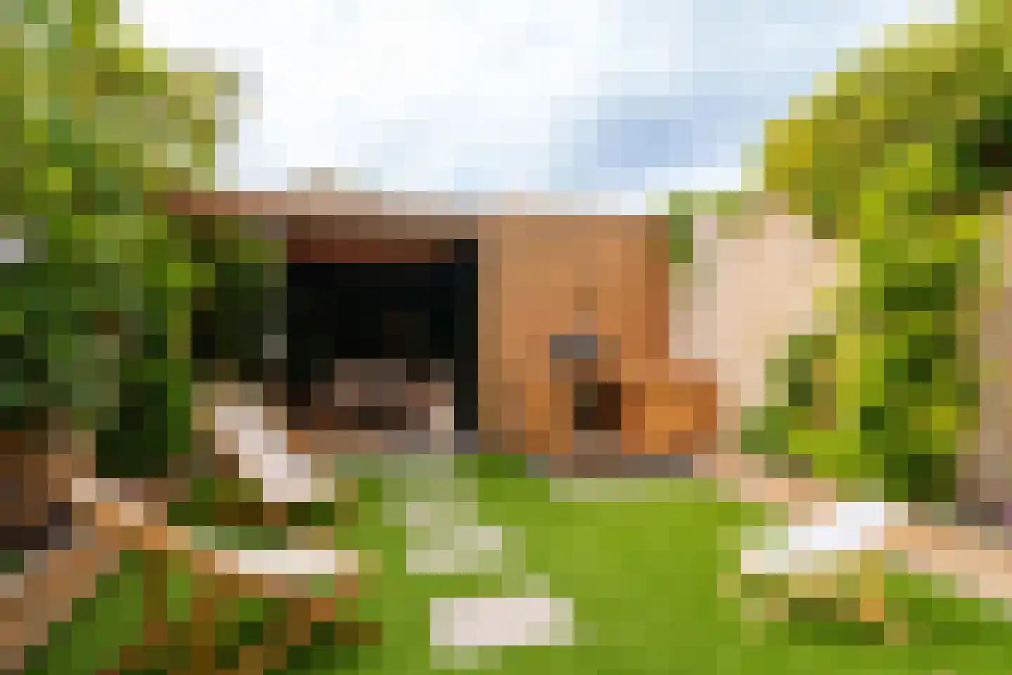 Rietmeent 71 Almere thumbnail 35