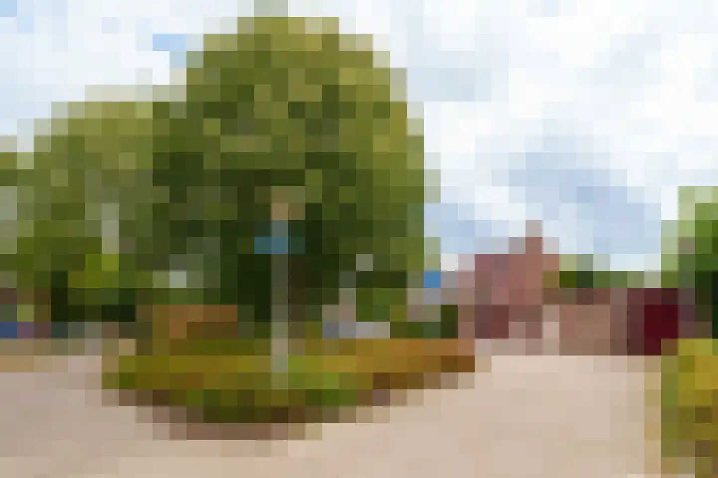 Rietmeent 71 Almere thumbnail 46