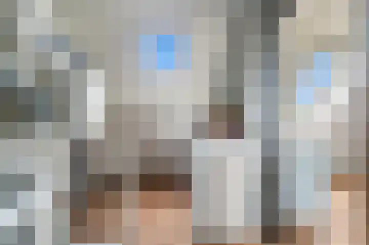 Rietmeent 76 Almere thumbnail 22