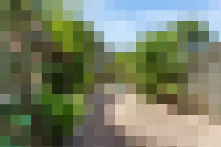 Rietmeent 76 Almere thumbnail 23