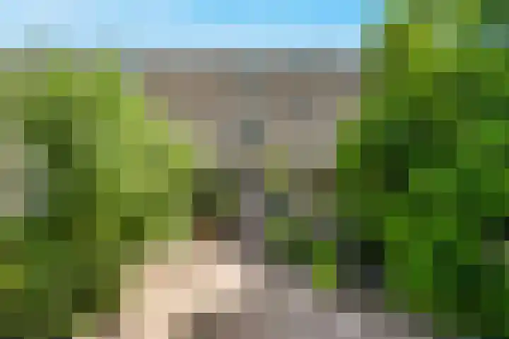 Rietmeent 76 Almere thumbnail 26