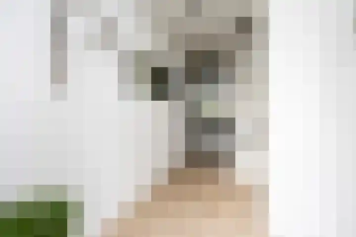 Rietmeerplantsoen 31 Berkel en Rodenrijs thumbnail 10