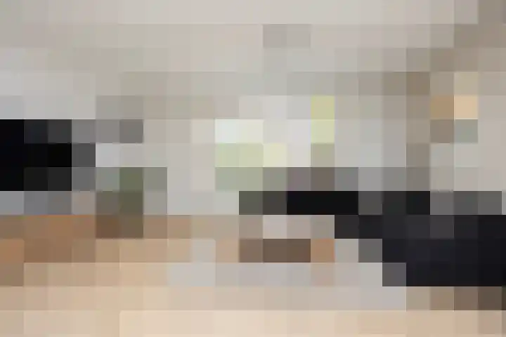 Rietmeerplantsoen 31 Berkel en Rodenrijs thumbnail 12