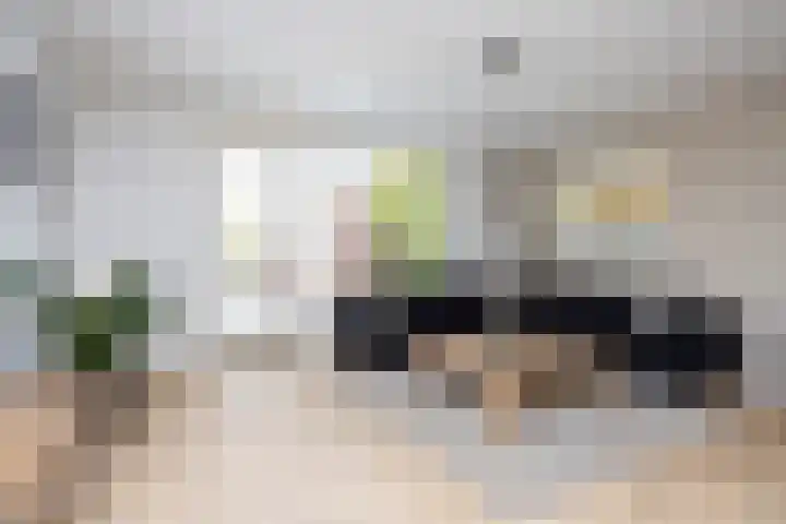 Rietmeerplantsoen 31 Berkel en Rodenrijs thumbnail 13