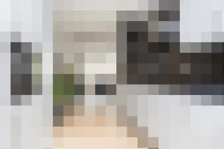 Rietmeerplantsoen 31 Berkel en Rodenrijs thumbnail 19