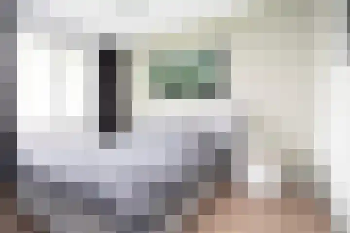 Rietmeerplantsoen 31 Berkel en Rodenrijs thumbnail 23