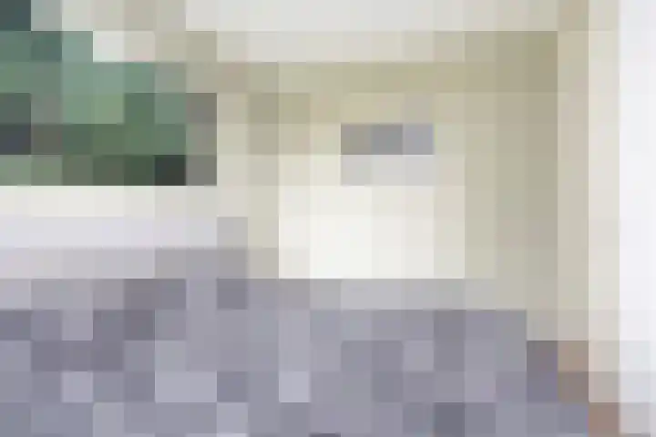Rietmeerplantsoen 31 Berkel en Rodenrijs thumbnail 24