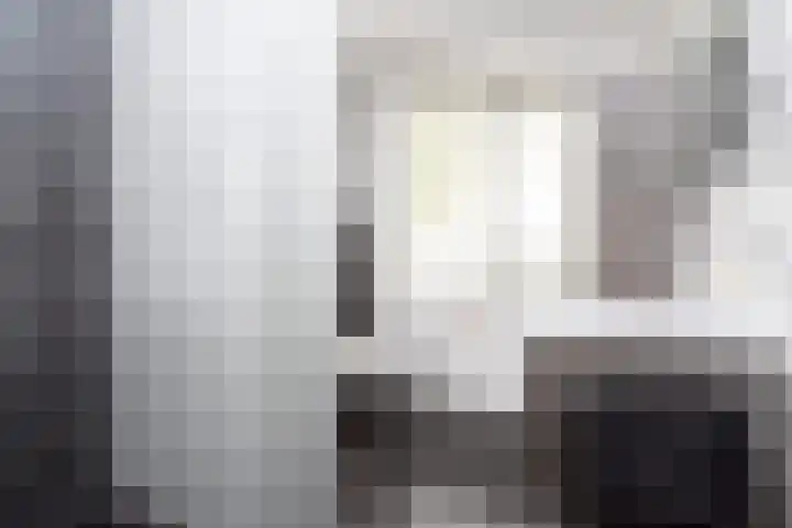 Rietmeerplantsoen 31 Berkel en Rodenrijs thumbnail 29