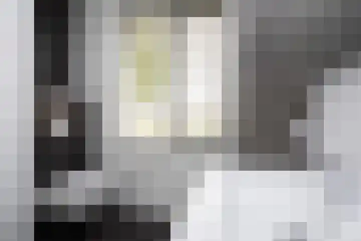 Rietmeerplantsoen 31 Berkel en Rodenrijs thumbnail 30