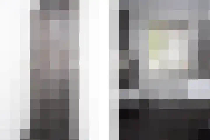 Rietmeerplantsoen 31 Berkel en Rodenrijs thumbnail 31