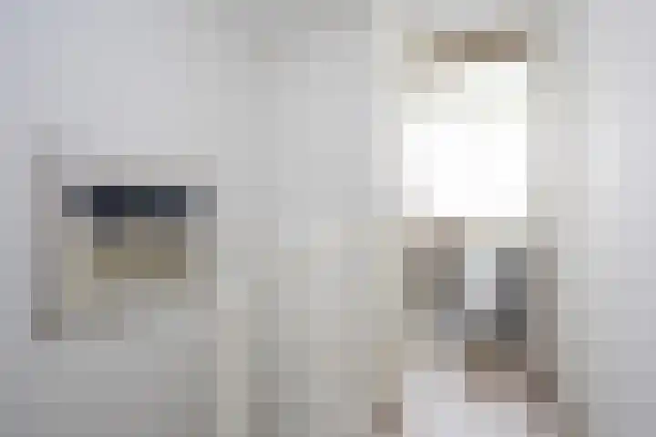 Rietmeerplantsoen 31 Berkel en Rodenrijs thumbnail 34