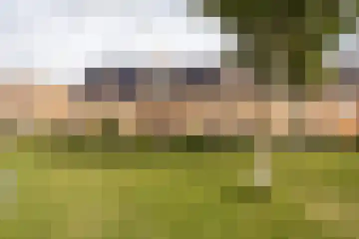 Rietmeerplantsoen 31 Berkel en Rodenrijs thumbnail 4