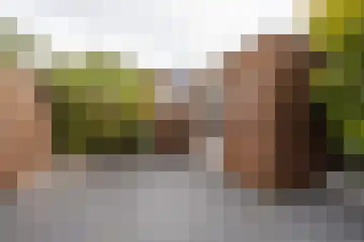 Rietmeerplantsoen 31 Berkel en Rodenrijs thumbnail 40