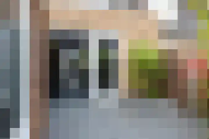 Rietmeerplantsoen 31 Berkel en Rodenrijs thumbnail 41