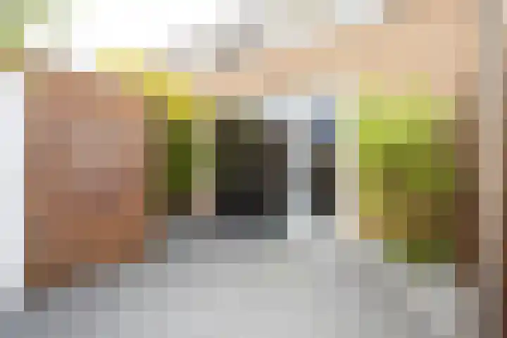 Rietmeerplantsoen 31 Berkel en Rodenrijs thumbnail 42